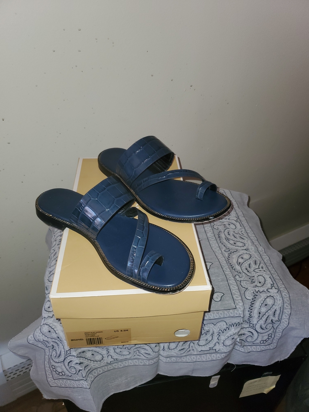 MICHAEL Michael Kors Beige Shoe Box with Navy Label - Picture 2 of 2
